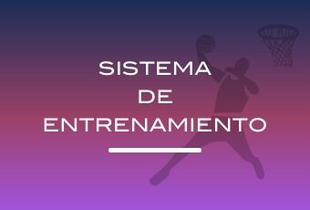 Capacitación en Sistema de entrenamiento